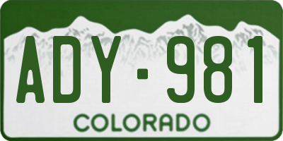 CO license plate ADY981