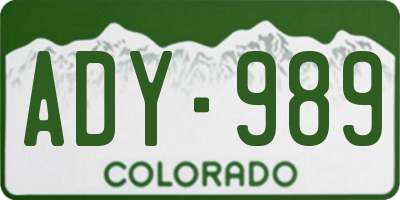 CO license plate ADY989