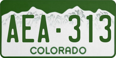 CO license plate AEA313