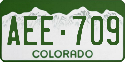 CO license plate AEE709