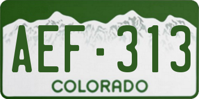 CO license plate AEF313