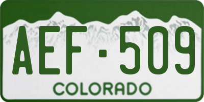 CO license plate AEF509