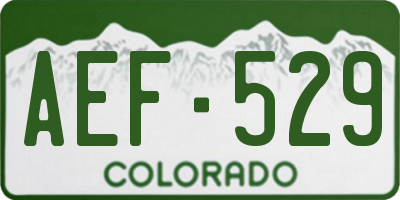 CO license plate AEF529