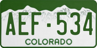 CO license plate AEF534