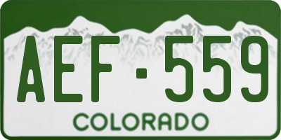 CO license plate AEF559