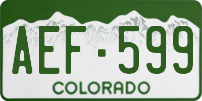 CO license plate AEF599