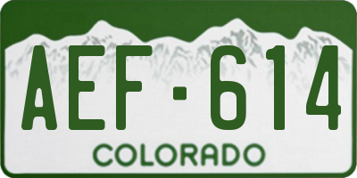 CO license plate AEF614