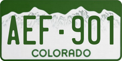 CO license plate AEF901
