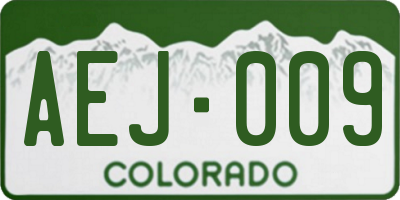 CO license plate AEJ009