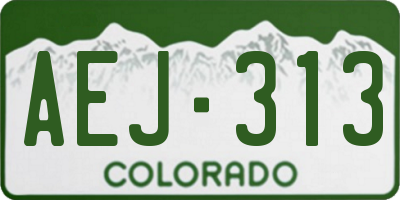 CO license plate AEJ313