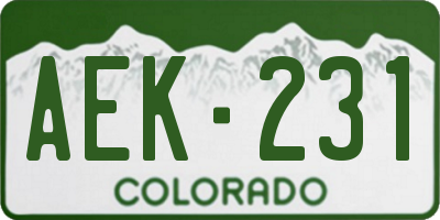 CO license plate AEK231