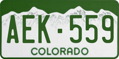 CO license plate AEK559