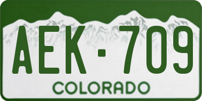 CO license plate AEK709