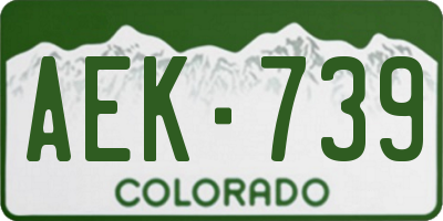 CO license plate AEK739