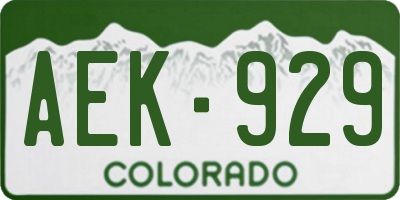 CO license plate AEK929