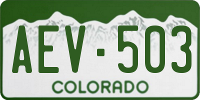 CO license plate AEV503
