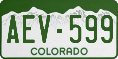 CO license plate AEV599
