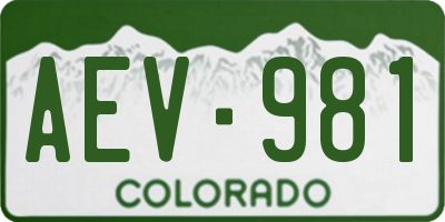 CO license plate AEV981