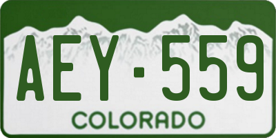CO license plate AEY559