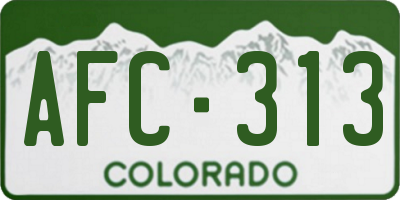 CO license plate AFC313