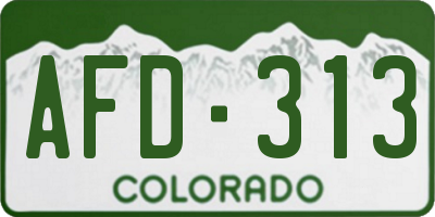 CO license plate AFD313