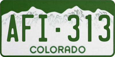 CO license plate AFI313