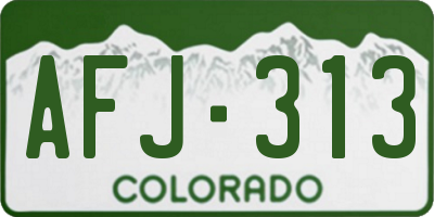 CO license plate AFJ313