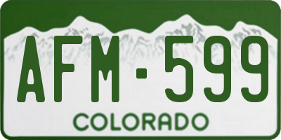 CO license plate AFM599