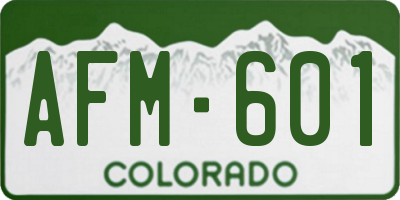 CO license plate AFM601