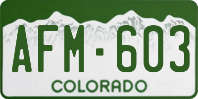 CO license plate AFM603