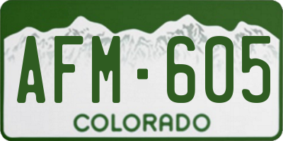 CO license plate AFM605