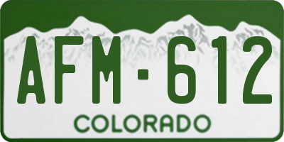 CO license plate AFM612