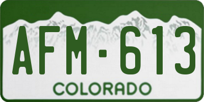 CO license plate AFM613