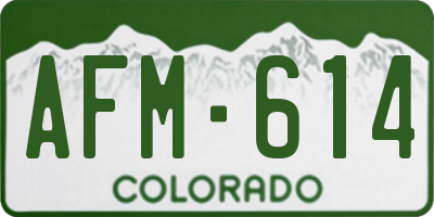 CO license plate AFM614