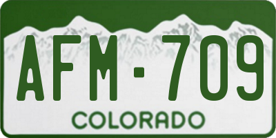 CO license plate AFM709