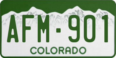 CO license plate AFM901