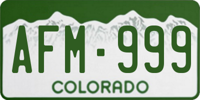 CO license plate AFM999