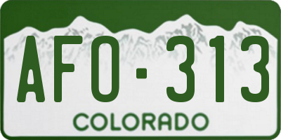 CO license plate AFO313