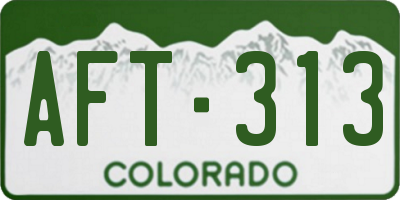 CO license plate AFT313