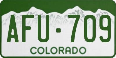 CO license plate AFU709