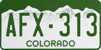 CO license plate AFX313