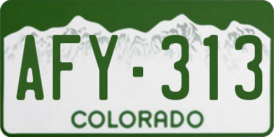 CO license plate AFY313