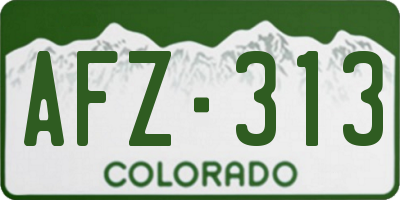 CO license plate AFZ313