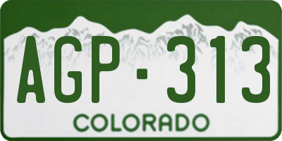 CO license plate AGP313