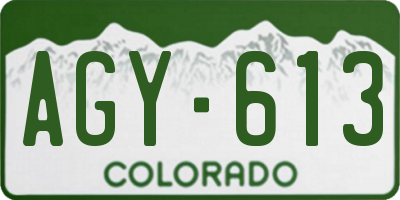 CO license plate AGY613