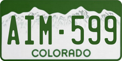 CO license plate AIM599