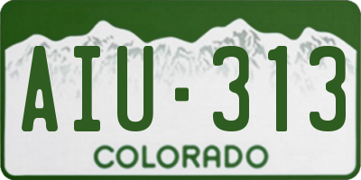 CO license plate AIU313