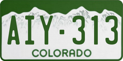 CO license plate AIY313