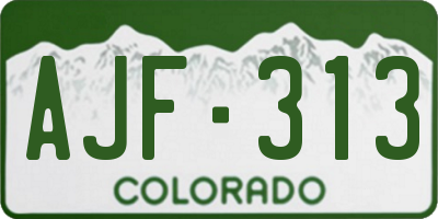 CO license plate AJF313