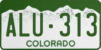 CO license plate ALU313